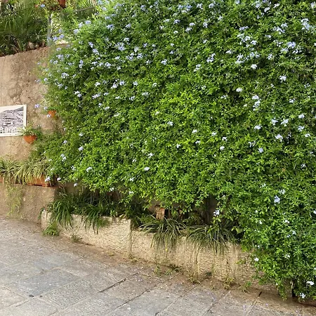 Casa Cotone 9 Pensjonat